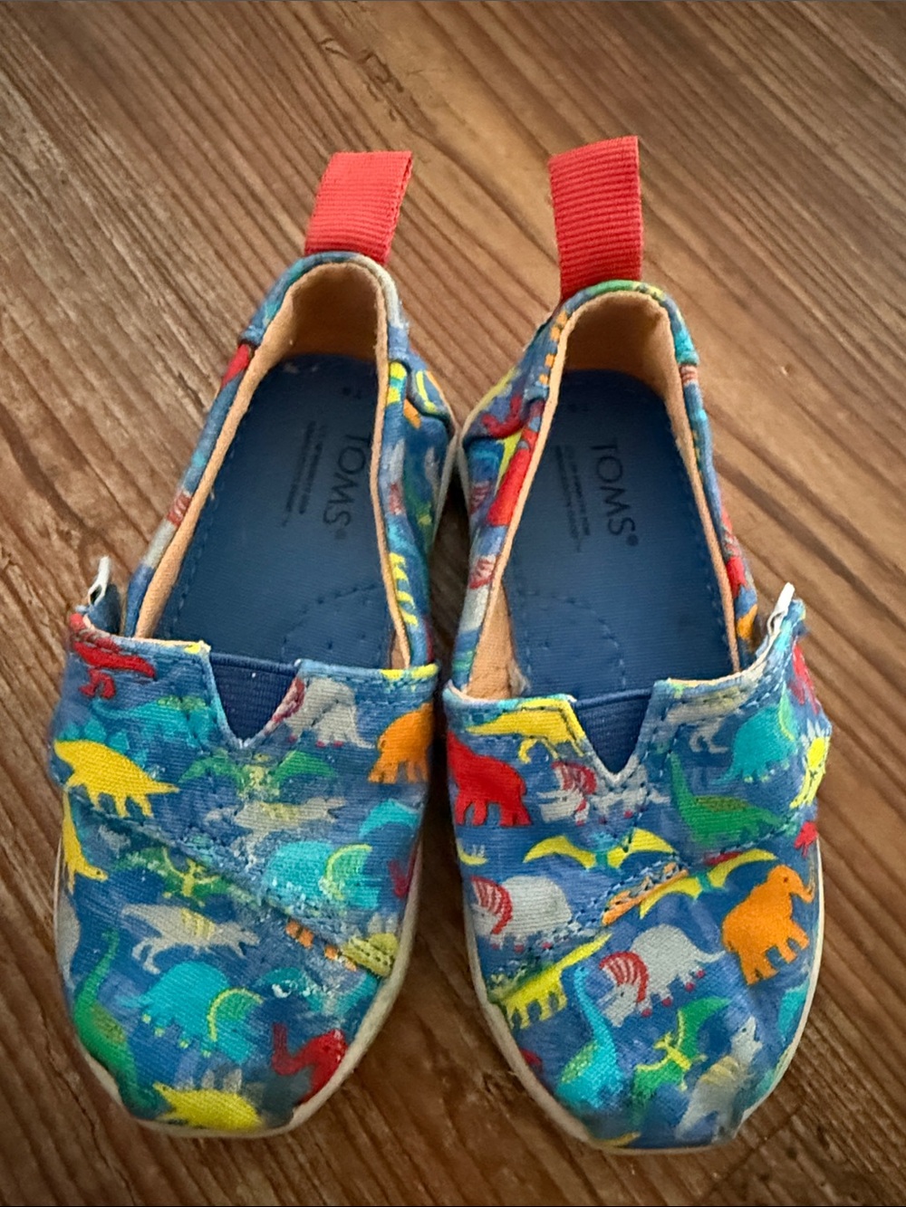 TOMS Kids Blue Canvas Slip-Ons with Multicolor Dino Print